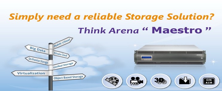 arena maestro storage